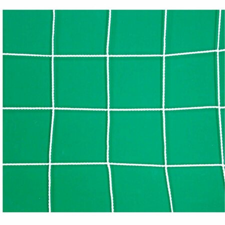 SSN Club Soccer Net, 3.0 mm - 4 x 6 x 2 x 4 in. 1367771